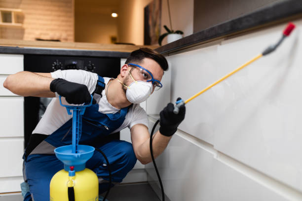 Trusted Edison, GA Pest Control Experts