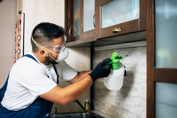Best Best Pest Control Companies  in Edison, GA