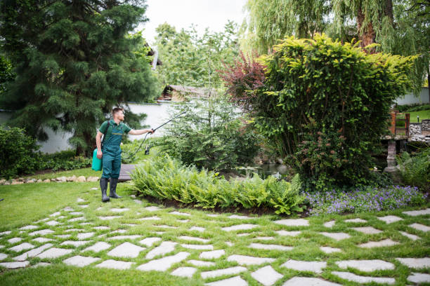 Best Pest Prevention Services  in Edison, GA