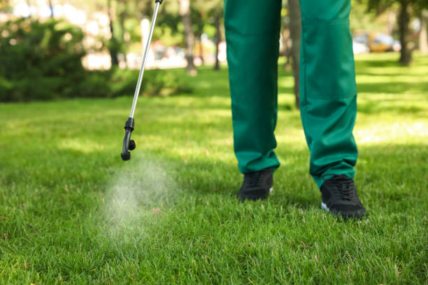 Best Emergency Pest Control  in Edison, GA