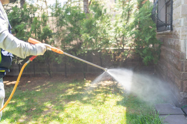 Best Rat Extermination Near Me  in Edison, GA