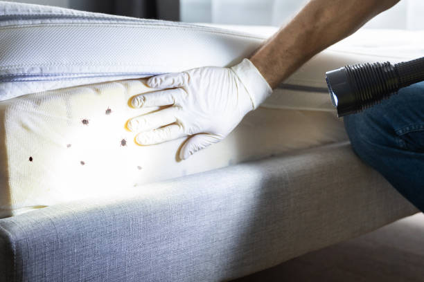 Pest Control for Restaurants in Edison, GA