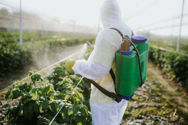 Best Local Pest Control Services  in Edison, GA